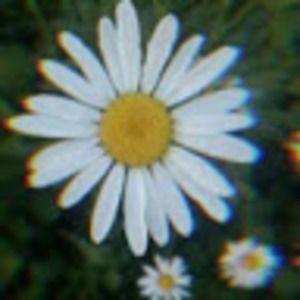 Meet your Posher, Kailyn